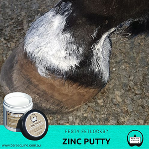 Bare Equine Australia Zinc Putty 300g