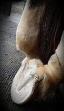 Load image into Gallery viewer, Bare Equine Australia Hoof pack
