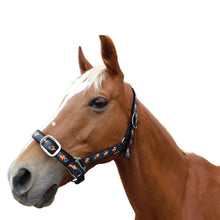 Load image into Gallery viewer, Eureka - Equine Headstall
