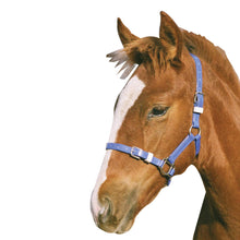 Load image into Gallery viewer, Showcraft Foal/Mini PVC Headstall
