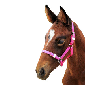 Showcraft Foal/Mini PVC Headstall