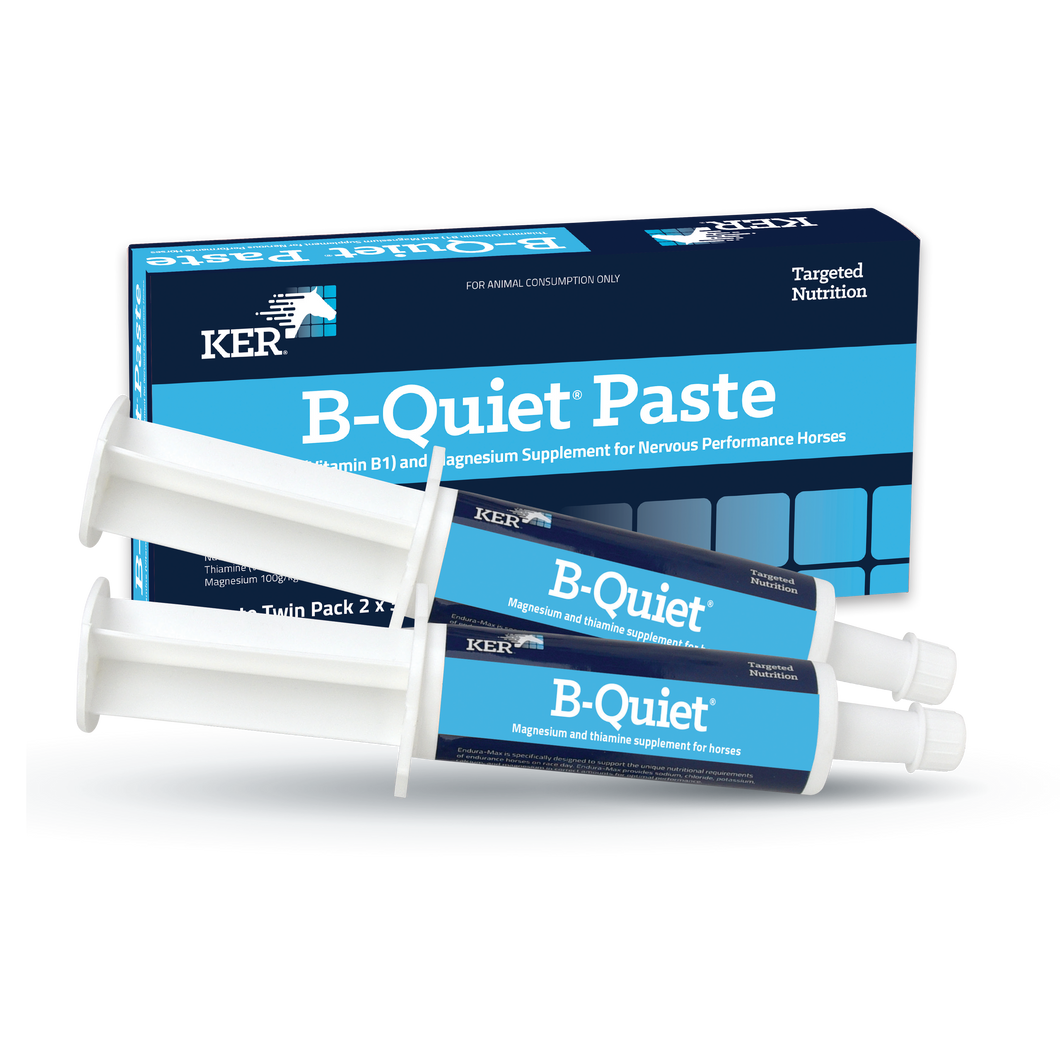 KER Be Quiet paste 2x30g Twin Pack