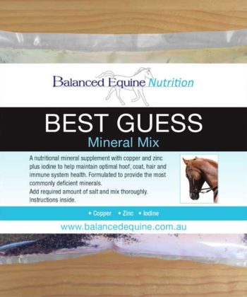 Balanced Equine - Best Guess Mineral Mix