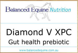 Balanced Equine- Diamond V XPC 2kg