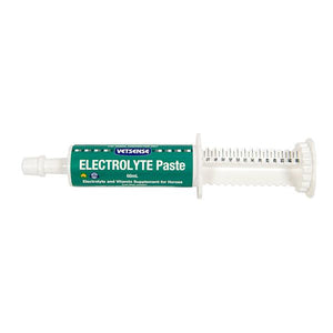 Vetsense Electrolyte Paste 60ml