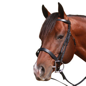 McAlister Flat Cavesson Bridle