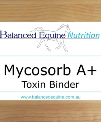 Balanced Equine - Mycosorb A+ 2 kg