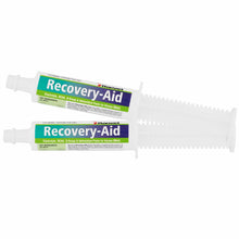Load image into Gallery viewer, Ranvet Recovery Aid Paste 80ml

