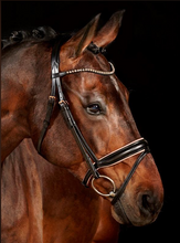Load image into Gallery viewer, Waldhausen Xline Rose Gold Bridle
