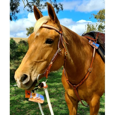 Bridle With Rawhide Browband